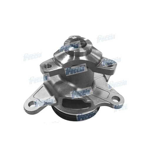 Nissan 1.6 R9M Diesel Water Pump